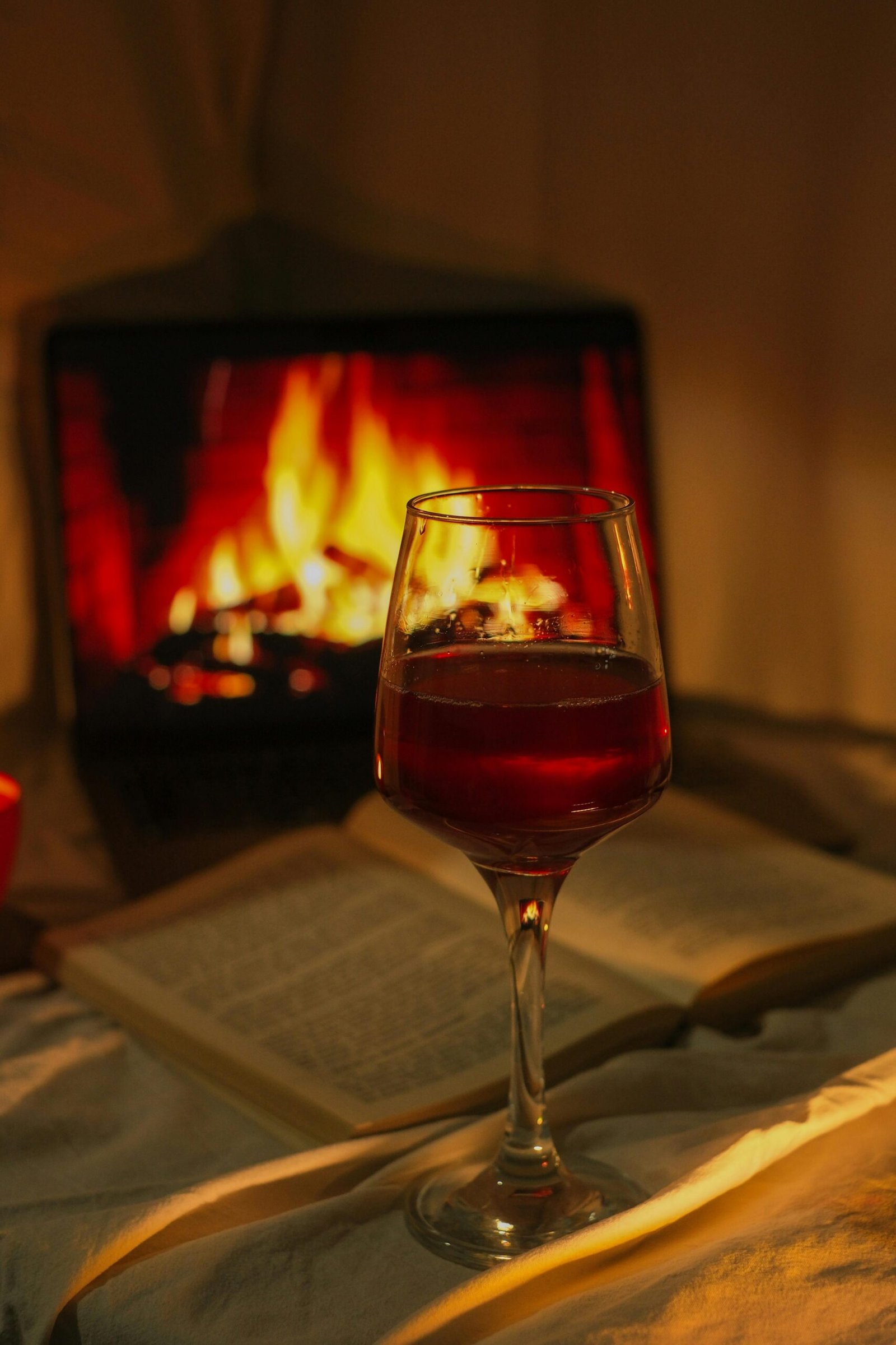 Glass of red wine, open book, and fireplace ambiance creating a warm cozy evening setting.